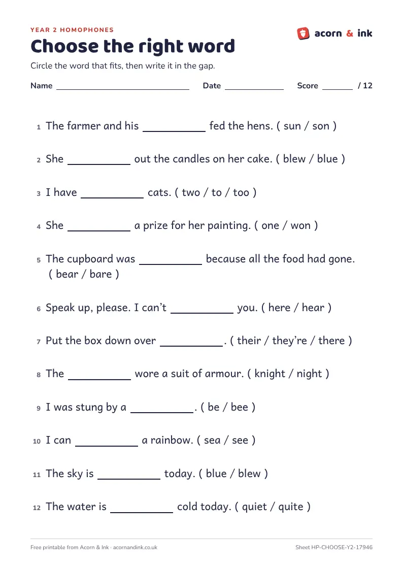 An example homophones sheet: twelve sentences from the Year 2 list, each with a gap and the homophones to choose from in brackets, such as there, their and they’re